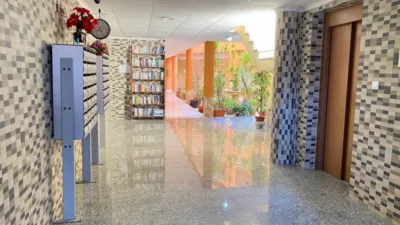 Pis – San Miguel de Salinas, Balcón de la Costa Blanca - Vista 5