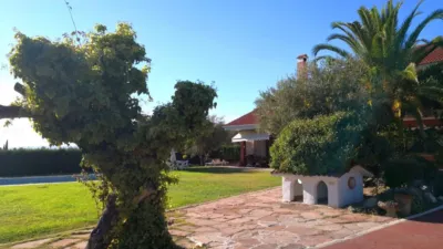 Chalet in Pinar-Punta Galea photo 16