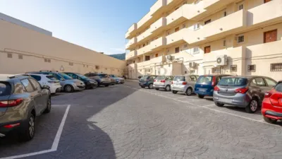 Apartment in Palmanova-Son Caliu photo 12