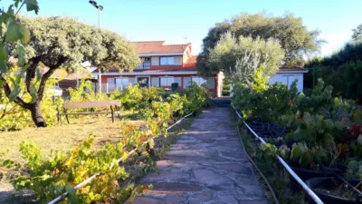 Chalet in Pinar-Punta Galea photo 14