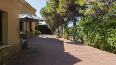Chalet in El Bosque photo 3