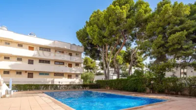 Apartment in Palmanova-Son Caliu photo 11