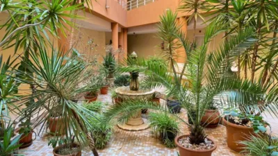 Pis – San Miguel de Salinas, Balcón de la Costa Blanca - Vista 4