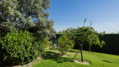 Chalet in El Bosque photo 16