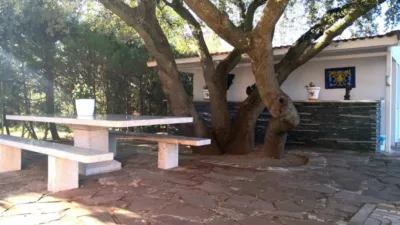 Chalet in Pinar-Punta Galea photo 13