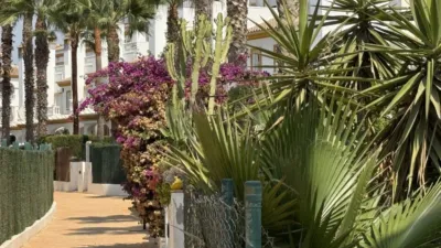 Terraced house in Cala Marqués photo 16