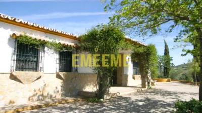 Rustic Finca in El Gastor photo 11