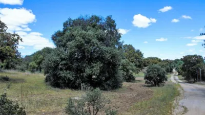 Finca rústica en Apeadero de Guadarrama photo 11
