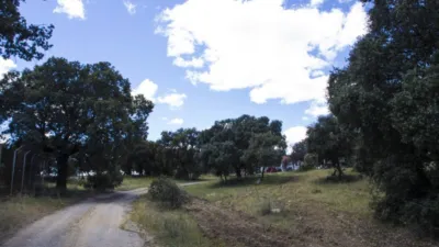 Finca rústica en Apeadero de Guadarrama photo 10