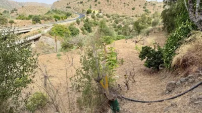 Rustic Finca in Viñuela photo 7