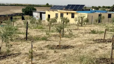 Rustic finca on Calle Diseminados Brunete Cr photo 9