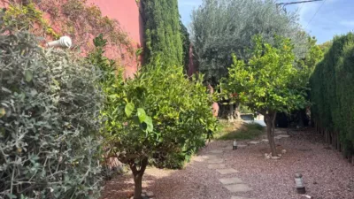 Villa in Altea La Vella photo 38