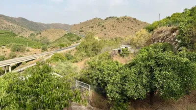 Rustic Finca in Viñuela photo 9