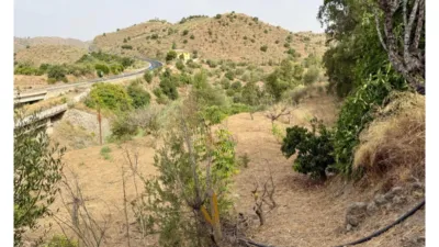 Rustic Finca in Viñuela photo 6