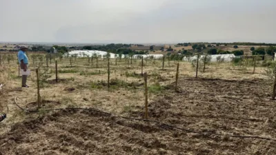 Rustic finca on Calle Diseminados Brunete Cr photo 8