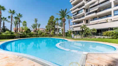 Pis – Alicante - Alacant - Vista 2