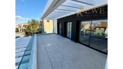 Apartment in Algorfa photo 20