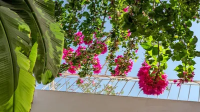 House in Campos photo 18