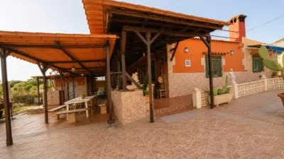 Rustic Finca in Llevant photo 21