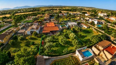 Rustic Finca in Llevant photo 20