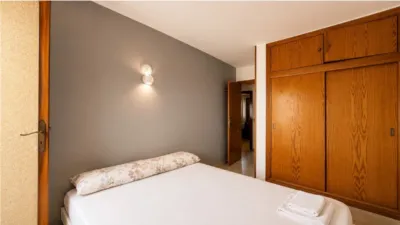 Apartment in Llevant photo 6
