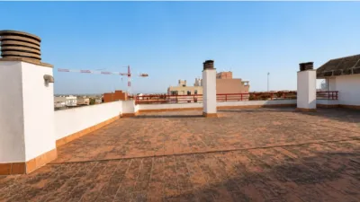Apartment in Llevant photo 23