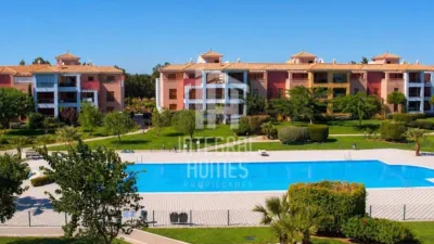 Apartment in Isla de Canela photo 19