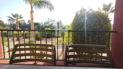 Apartment in Isla de Canela photo 28