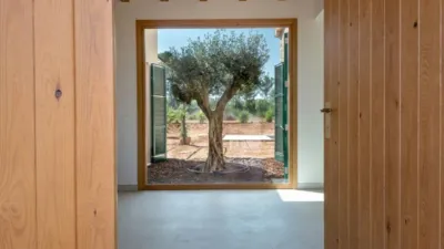 Rustic house in Algaida photo 3