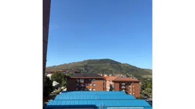Apartment in Abanto-Zierbena photo 29