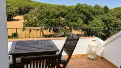 Apartment in Calella de Palafrugell photo 4