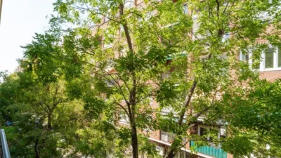 Apartment in the Salamanca District photo 17