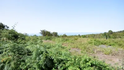 Rustic farm in El Tanque photo 21