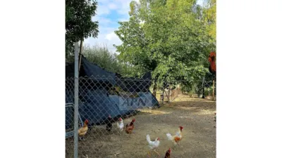 Rustic Finca in Pizarra photo 63