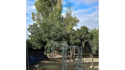 Rustic Finca in Pizarra photo 62