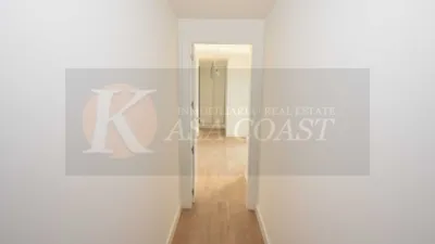 Apartment in Playa de Los Boliches photo 12