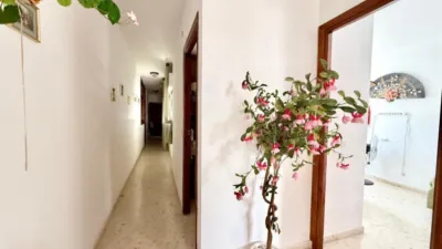 Apartment in Alhama de Granada photo 16