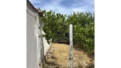 Rustic finca on Calle Partida Cova Negra, No. S/N photo 8