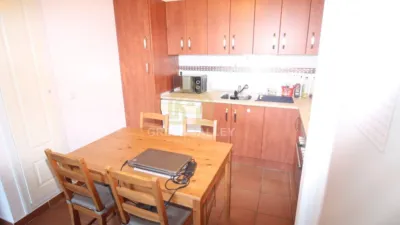 Apartment in Alcaide photo 14