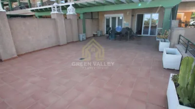 Apartment in Alcaide photo 30