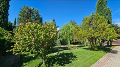 Terraced house in Monte Rozas-La Chopera photo 3