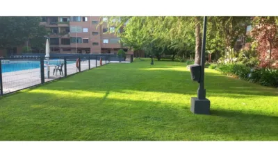 Apartment in Las Rozas de Madrid photo 30