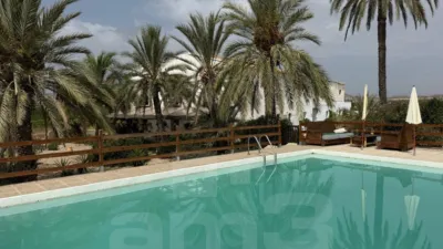Rustic Finca in Urban Area photo 65