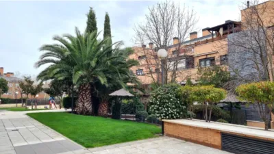 Apartment in El Cantizal photo 5