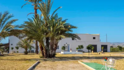 Rustic Finca in Urban Area photo 69
