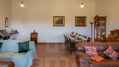 Rustic Finca in Urban Area photo 26