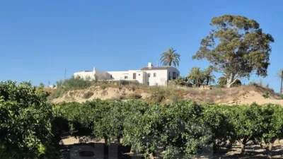 Rustic Finca in Urban Area photo 2