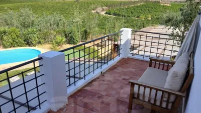 Rustic Finca in Urban Area photo 16