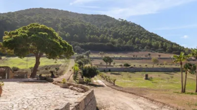 Rustic house in Algaida photo 11