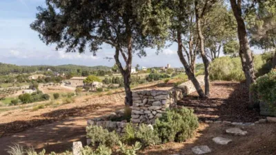 Rustic house in Algaida photo 13